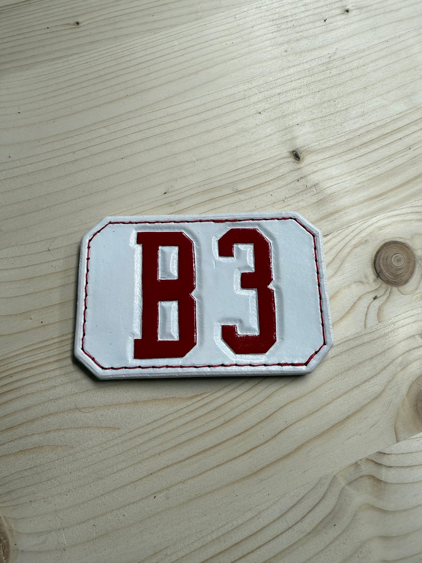 Passport Shield Insert